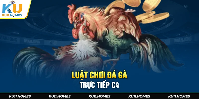 Luật chơi đá gà trực tiếp C4