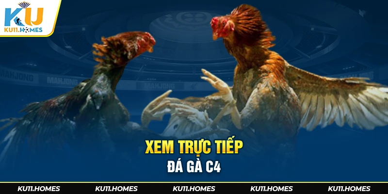 Xem trực tiếp đá gà c4