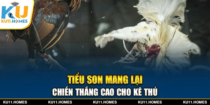 Tiểu Son mang lại chiến thắng cao cho kê thủ