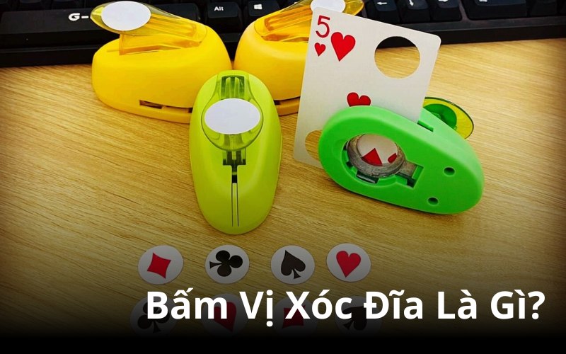 Hướng dẫn cách bấm vị xóc đĩa hiệu quả cho người mới