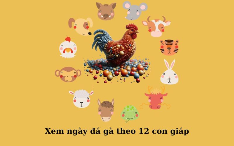 Quy tắc chọn gà chiến dựa vào 12 con giáp